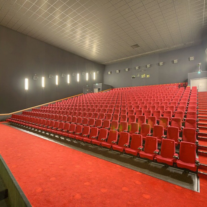 Kino für Firmenveranstaltungen in Chemnitz mieten- Red Carpet Event