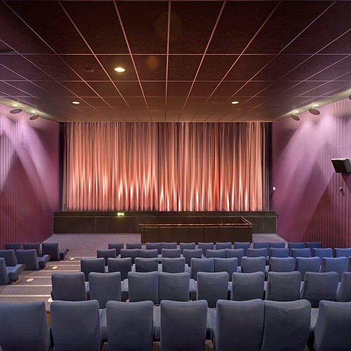 Kinosaal für Konferenzen in Saarbrücken buchen- Red Carpet event